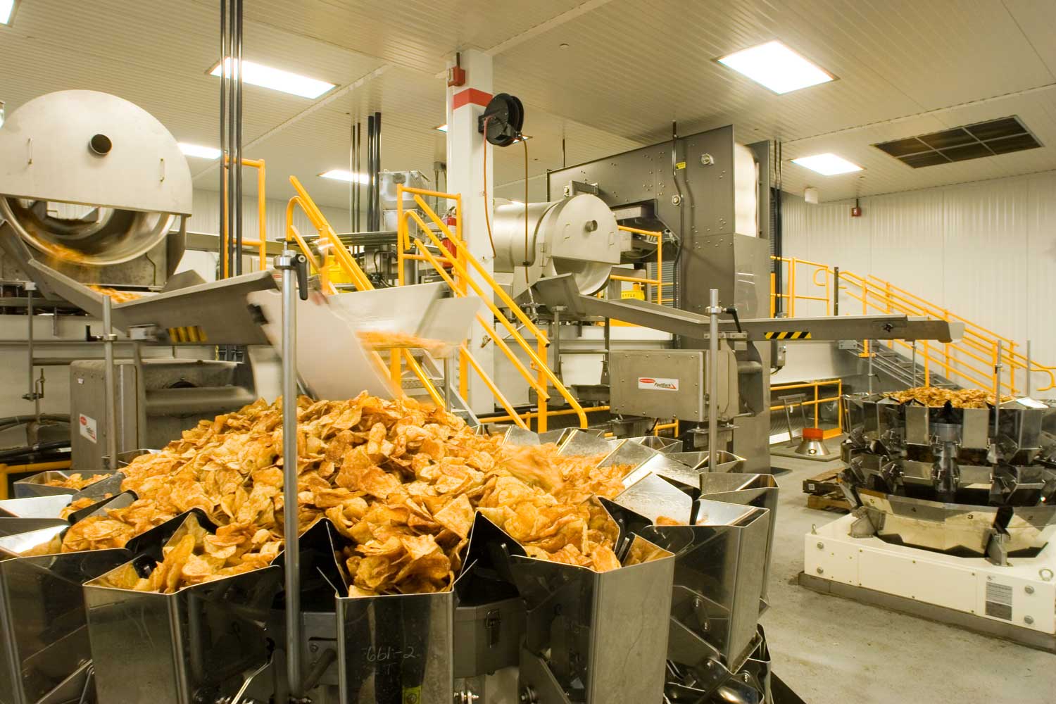 Food Control System Production Automation